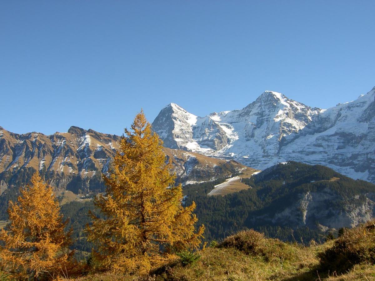 Valley Hostel Лаутербрунен Екстериор снимка